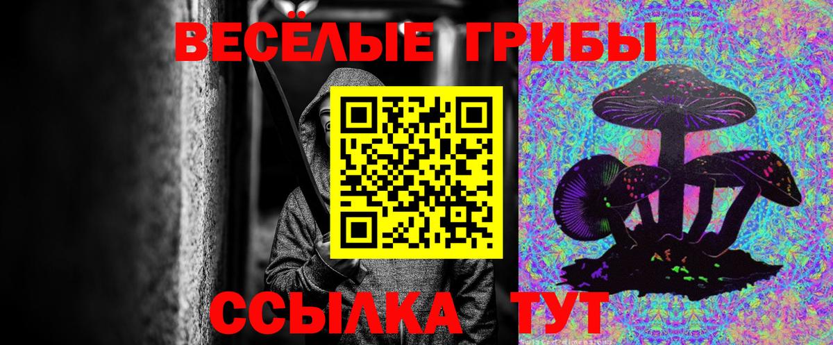 Галлюциногенные грибы GOLDEN TEACHER Миллерово