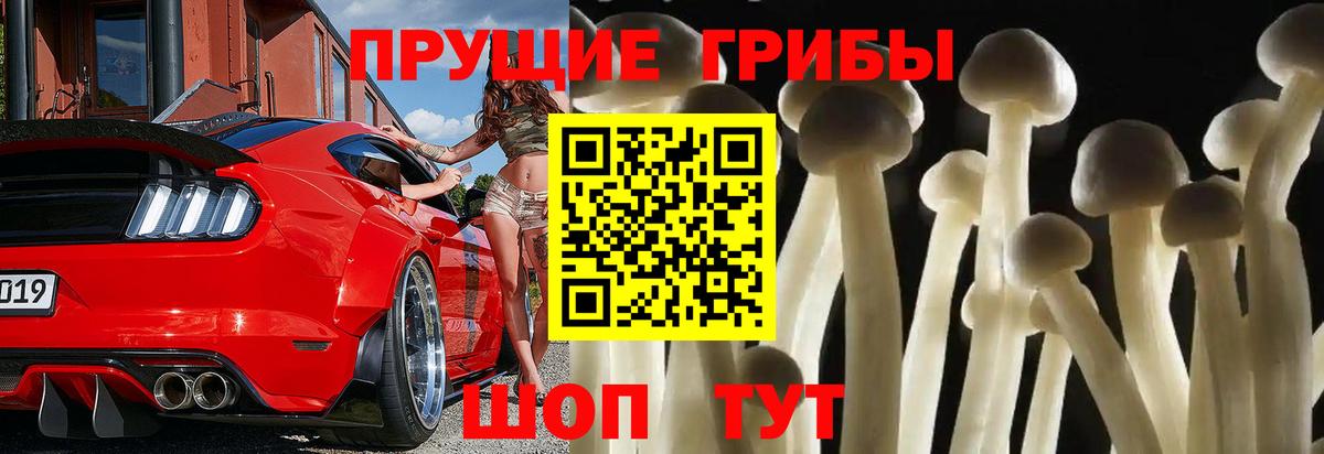 Миллерово  Галлюциногенные грибы ЛСД  где продают наркотики  Галлюциногенные грибы Psilocybe  Вход с VPN 